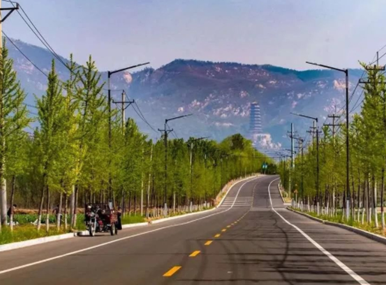为打造乡村振兴齐鲁样板贡献力量！莱芜区乡村振兴跑出加速度